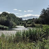 Chris Holt's photo