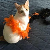 Sally Piorkowski's photo