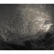 Michael Meek's photo