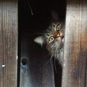 Rebecca Darnell's photo