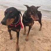 Cathy Lapi's photo