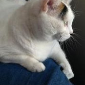 Missy Corron's photo