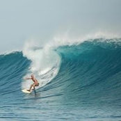 Tienn Ness's photo