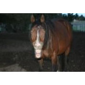 Brad Wehde's photo