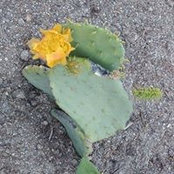 Priscilla Owens's photo