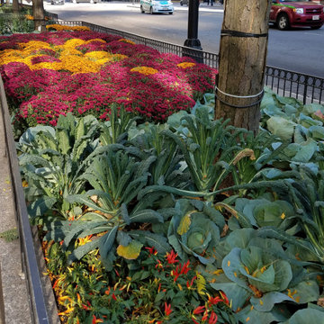 Landscape Concepts Management