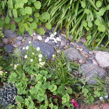 Dry streambed of medium rocks & small stones