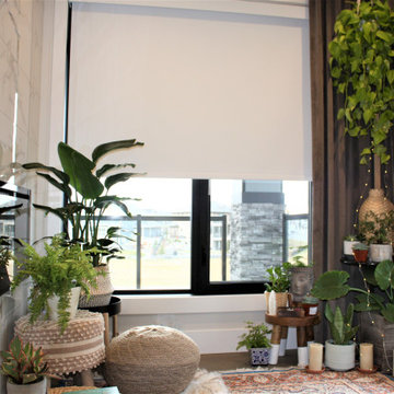Window Treatments