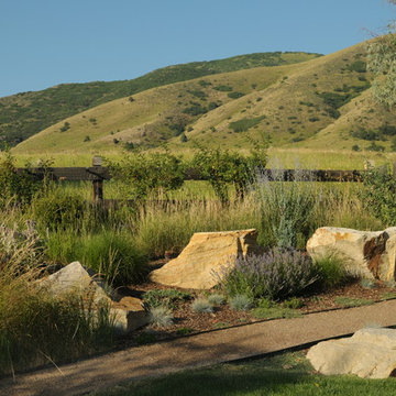 Mountain Native