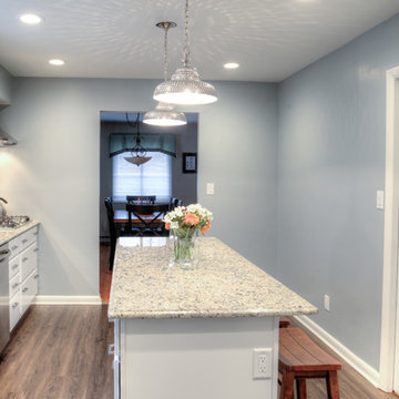 Ann Arbor Kitchen Renovation