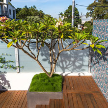 Favorite Landscaping