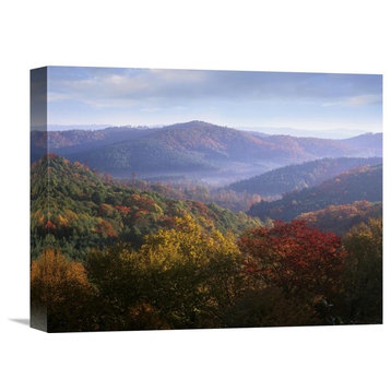 "Autumn Deciduous Forest From The Blue Ridge Parkway, North Carolina" Artwork