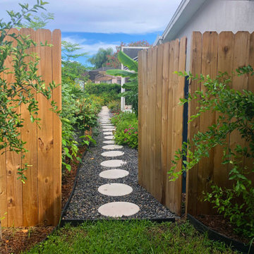 Growing Vibrant Colorful Veggies/ Raised Beds