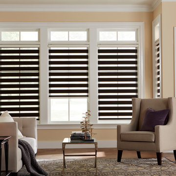 Sheer Window Shades