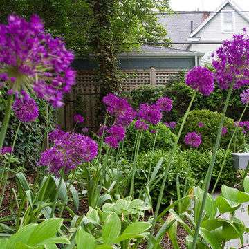 Brooklyn Ditmas Park Garden Consultation / Design $ 500