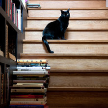 bookcase on staircase