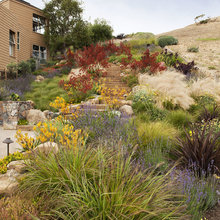 Landscape ideas for ACERAGE