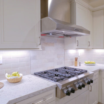 Thousand Oaks Kitchen remodel