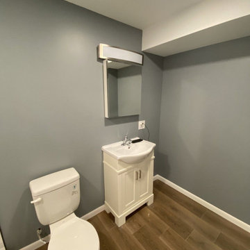 Lucille Ln Basement Remodel