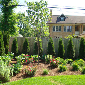 Backyard Privacy