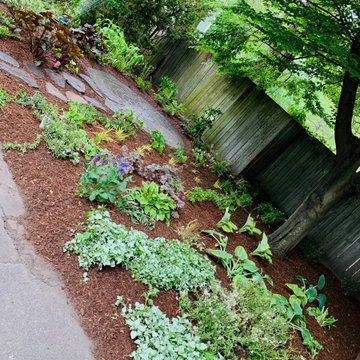 Cambridge planting update