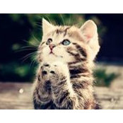 Doaa Mohamed's photo