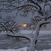 Foto von Phyllis Summerlin