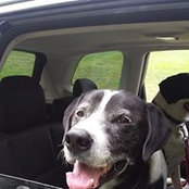 Mary Kearney's photo