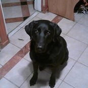 Mark Crooks's photo