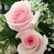Shirley Bernardo's photo