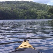 Susan Kmon's photo