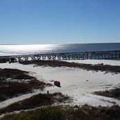 Dave Carey's photo