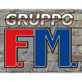Foto di profilo di gruppo FM srl