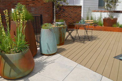Photo of a medium sized contemporary terrace in Surrey.
