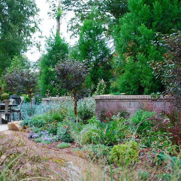 Selwyn Project: Backyard revisited