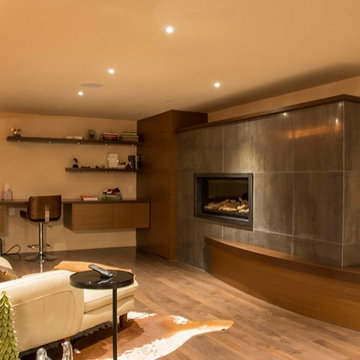 Multi-Functional Basement