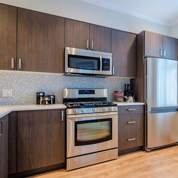 Modern Condo- Open Concept Kitchen