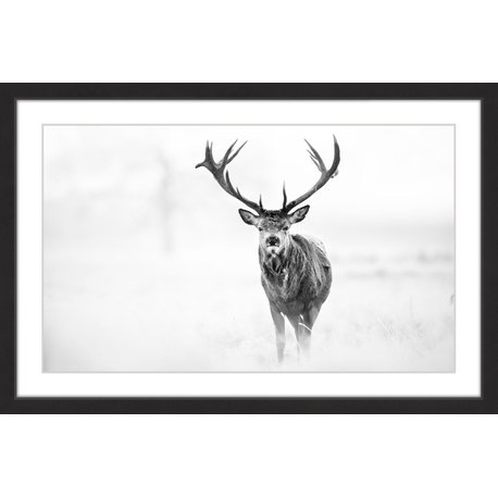 "Elk Stare" Framed Painting Print, 45x30