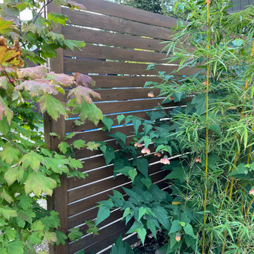Vancouver Villa - backyard