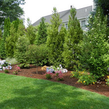 Berm