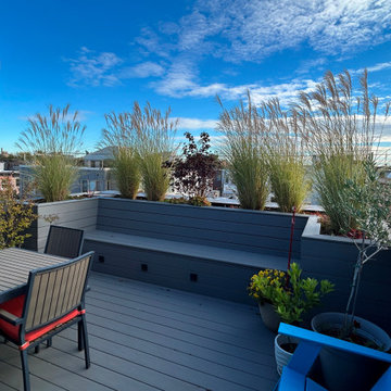 South Philadelphia Roof Deck
