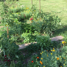 Potager