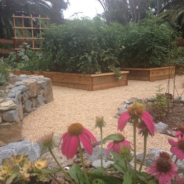 Vegetable Garden
