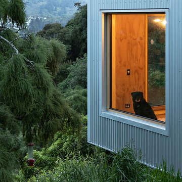 Kowhai House
