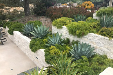Design ideas for an expansive contemporary backyard full sun xeriscape in San Diego with a retaining wall and natural stone pavers.
