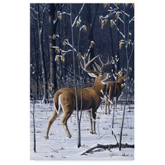 Trademark Fine Art 'Christmas Magic' Canvas Art by The Macneil Studio 