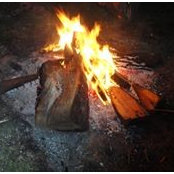 Lori Larson's photo