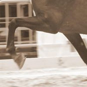 Mi Caballo Desbocado's photo