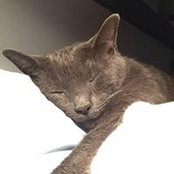 Jennifer Degenhardt's photo