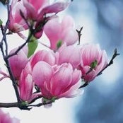 Marinela Mitan's photo